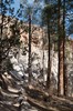 2018-01-16 to 2018-01-20 Bandolier and Jemez NM 071